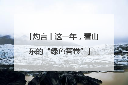 灼言丨这一年，看山东的“绿色答卷”