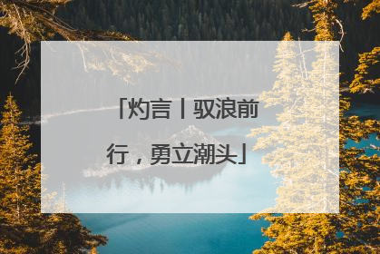 灼言丨驭浪前行，勇立潮头