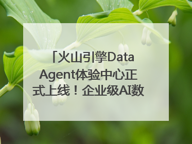 火山引擎Data Agent体验中心正式上线！企业级AI数据专家触手可及