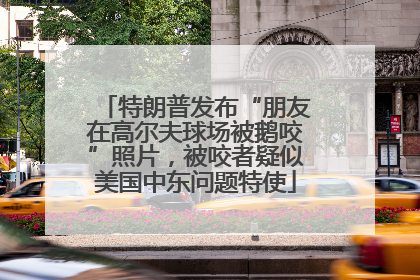 特朗普发布“朋友在高尔夫球场被鹅咬”照片，被咬者疑似美国中东问题特使