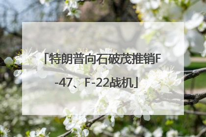 特朗普向石破茂推销F-47、F-22战机