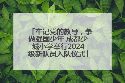 牢记党的教导，争做强国少年 成都少城小学举行2024级新队员入队仪式