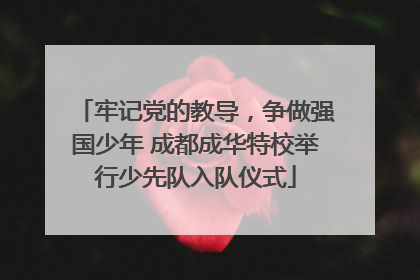 牢记党的教导，争做强国少年 成都成华特校举行少先队入队仪式