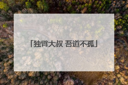 独臂大叔 吾道不孤
