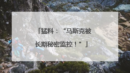 猛料：“马斯克被长期秘密监控！”