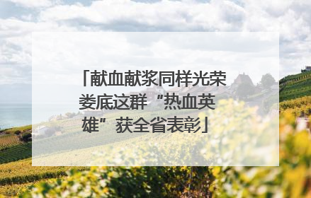 献血献浆同样光荣 娄底这群“热血英雄”获全省表彰