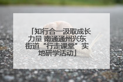 知行合一汲取成长力量 南通通州兴东街道“行走课堂”实地研学活动