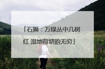 石狮：万绿丛中几树红 湿地荷塘韵无穷