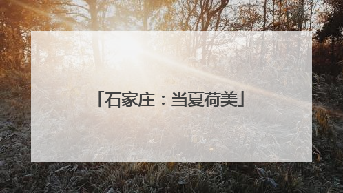 石家庄：当夏荷美