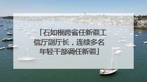 石如根跨省任新疆工信厅副厅长，连续多名年轻干部调任新疆