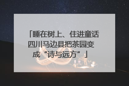睡在树上、住进童话 四川马边县把茶园变成“诗与远方”
