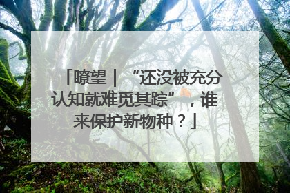 瞭望｜“还没被充分认知就难觅其踪”，谁来保护新物种？