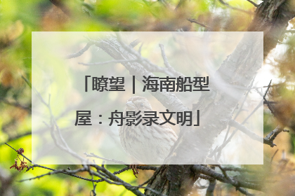 瞭望｜海南船型屋：舟影录文明