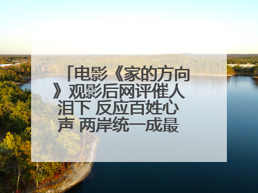 电影《家的方向》观影后网评催人泪下 反应百姓心声 两岸统一成最强音！