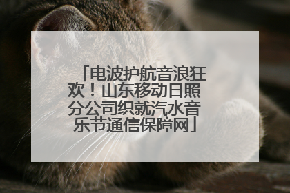 电波护航音浪狂欢！山东移动日照分公司织就汽水音乐节通信保障网