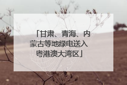 甘肃、青海、内蒙古等地绿电送入粤港澳大湾区