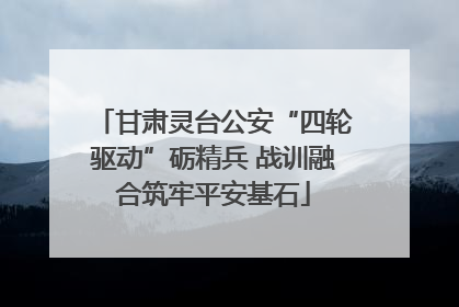 甘肃灵台公安“四轮驱动”砺精兵 战训融合筑牢平安基石
