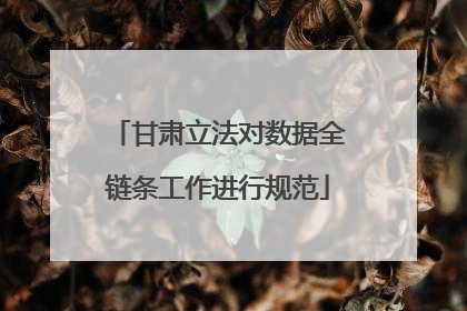 甘肃立法对数据全链条工作进行规范