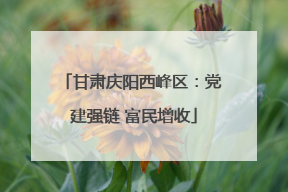甘肃庆阳西峰区：党建强链 富民增收