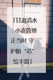甘肃清水：小麦管理正当时 守护粮“芯”绘丰景