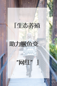 生态养殖助力鳜鱼变“网红”