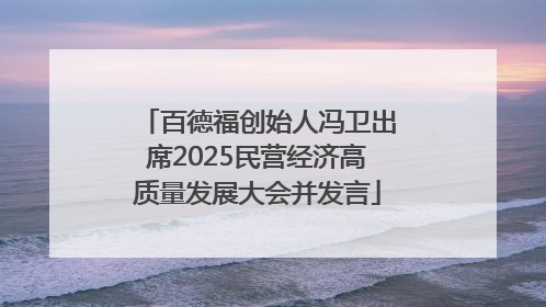 百德福创始人冯卫出席2025民营经济高质量发展大会并发言