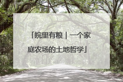 皖里有粮｜一个家庭农场的土地哲学