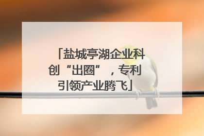 盐城亭湖企业科创“出圈”，专利引领产业腾飞