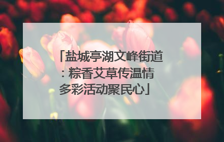 盐城亭湖文峰街道：粽香艾草传温情 多彩活动聚民心