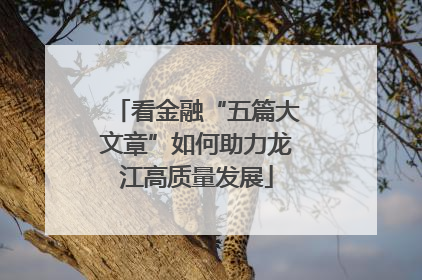 看金融“五篇大文章”如何助力龙江高质量发展