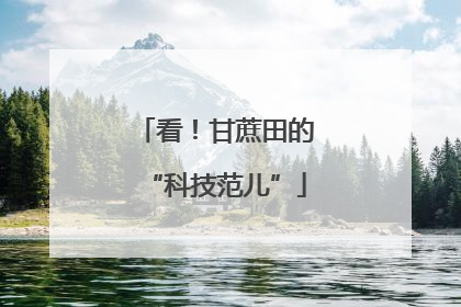 看！甘蔗田的“科技范儿”