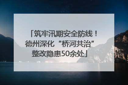 筑牢汛期安全防线！德州深化“桥河共治”整改隐患50余处