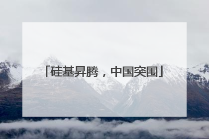 硅基昇腾，中国突围