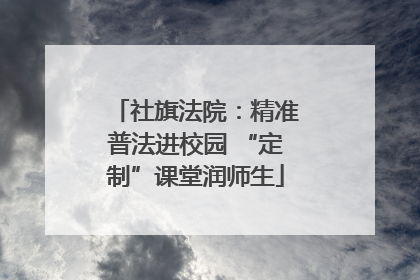 社旗法院：精准普法进校园 “定制”课堂润师生