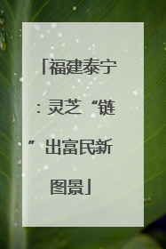 福建泰宁：灵芝“链”出富民新图景
