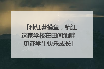 种红薯摸鱼，镇江这家学校在田间池畔见证学生快乐成长