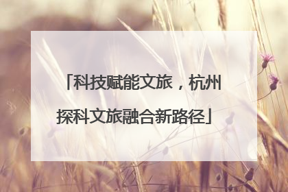 科技赋能文旅，杭州探科文旅融合新路径