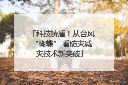 科技铸盾！从台风“蝴蝶” 看防灾减灾技术新突破
