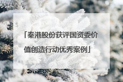 秦港股份获评国资委价值创造行动优秀案例