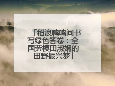 稻浪鸭鸣间书写绿色答卷：全国劳模田淑娴的田野振兴梦