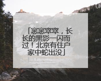 窸窸窣窣，长长的黑影一闪而过！北京有住户家中蛇出没