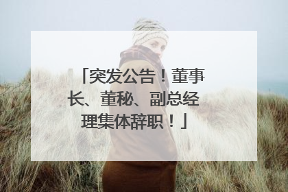 突发公告！董事长、董秘、副总经理集体辞职！