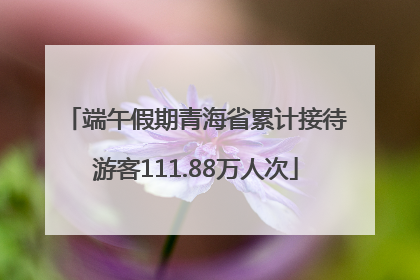 端午假期青海省累计接待游客111.88万人次