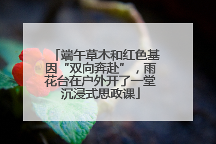 端午草木和红色基因“双向奔赴”，雨花台在户外开了一堂沉浸式思政课