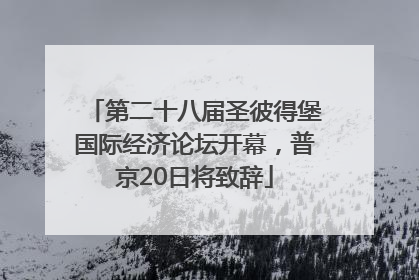 第二十八届圣彼得堡国际经济论坛开幕，普京20日将致辞