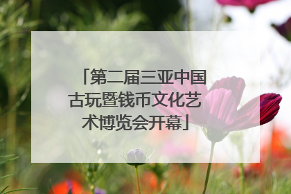 第二届三亚中国古玩暨钱币文化艺术博览会开幕