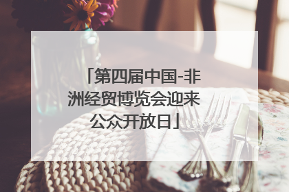 第四届中国-非洲经贸博览会迎来公众开放日
