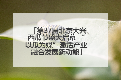 第37届北京大兴西瓜节盛大启幕 “以瓜为媒”激活产业融合发展新动能