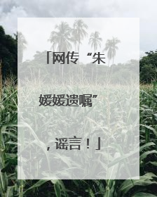 网传“朱媛媛遗嘱”，谣言！