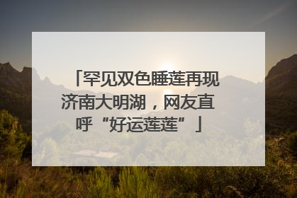 罕见双色睡莲再现济南大明湖，网友直呼“好运莲莲”